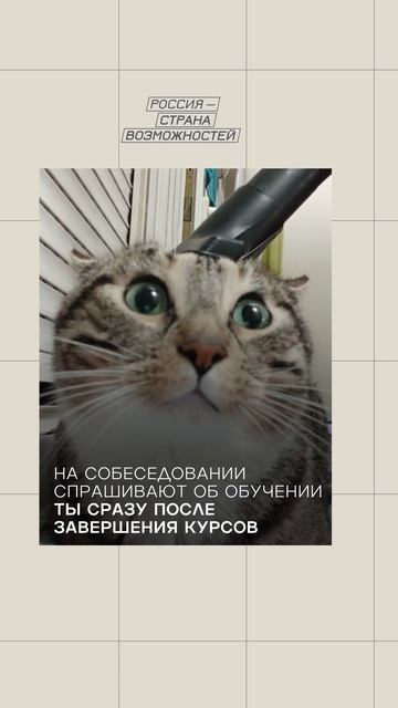 После завершения курсов