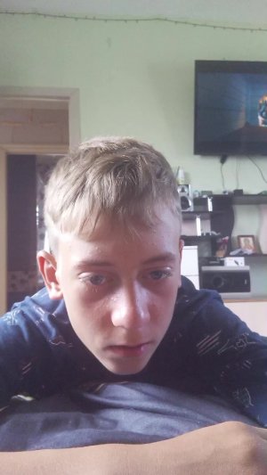 хай бисти