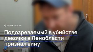 Подозреваемый в убийстве девочки в Ленобласти признал вину