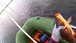 ДАВНО Я ТАК НЕ РЫБАЧИЛ!!! ПОПАЛ НА САЗАНА. РЫБАЛКА НА ПАУК
