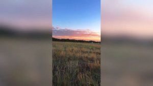 Поле В Сиянии Заката Хит