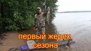 Озеро Вселуг середина июня первый жерех в сезоне