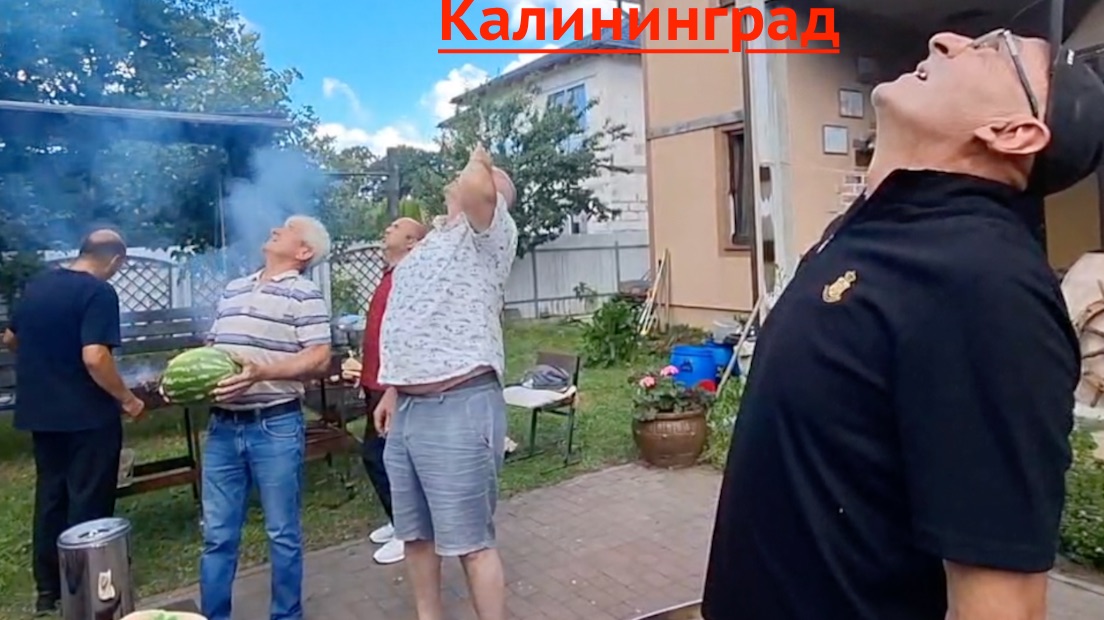 АНОНС! Голубеводы  Калининграда!