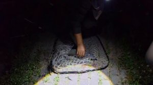 VID-20260703-WA0005