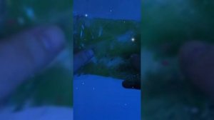 Неоновое Сверкание Для Детей