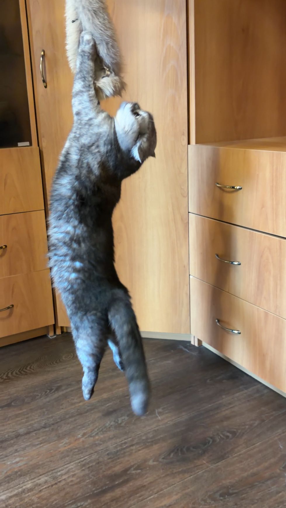 Не отдам!