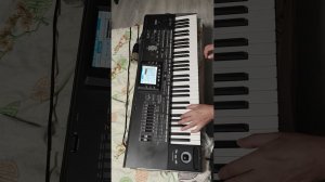 KorgStyle- Падает Снег Korg Pa3X