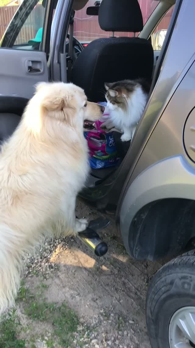 Мася приехал ❗️❤️😻