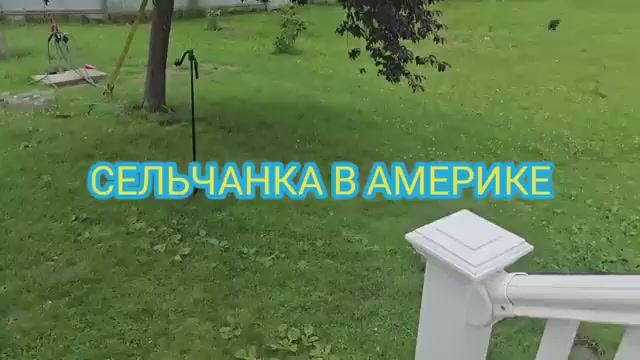 Сельчанка в Америке США ЖИЗНЬ НА ХУТОРЕ МОРОЖЕНОЕ ДЛЯ КУРОЧЕК