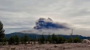 🌋  Вулкан Шивелуч на Камчатке продолжает активность и снова выбросил гигантское количество пепла