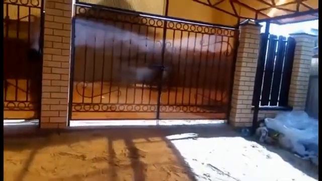 НАВЕС ИЗ ПОЛИКАРБОНАТА И ПРОФИЛЬНОЙ ТРУБЫ ДЛЯ АВТОМОБИЛЕЙ СВОИМИ РУКАМИ ВО ДВОРЕ К ДОМУ