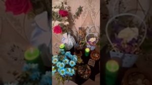 РОЛИК ОТ ЗАЛЬФИРЫ