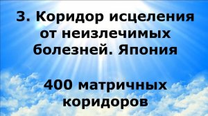 3. КОРИДОР ИСЦЕЛЕНИЯ ОТ НЕИЗЛЕЧИМЫХ БОЛЕЗНЕЙ. ЯПОНИЯ. 400 матричных коридоров #наянабелосвет