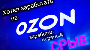 Зарабатываю на Ozon складе, на операции «Размещение». Или не зарабатываю👹