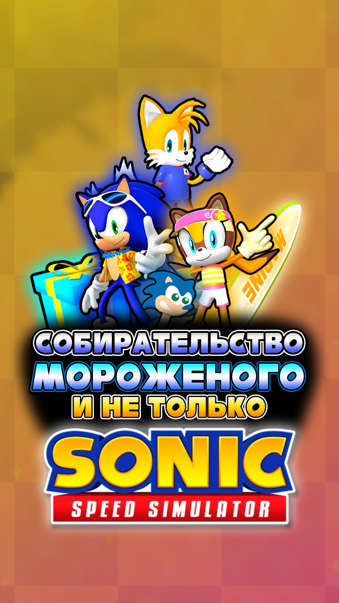 Sonic Speed Simulator