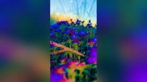 Почему это лучший дом в лесу