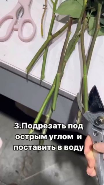 ПОЛЕЗНЫЕ СОВЕТЫ #рецепты #обзор #лайхаки #моибудни #кухня #посуда #женщинам #длядачи #длядома смотреть онлайн