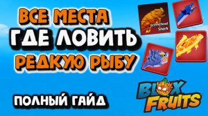 Все места Где ловить редкую рыбу Полный гайд Блокс Фрукт