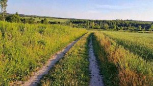 Вечерняя прогулка с мужем ☀️🌿🌛Болталка