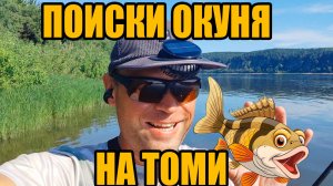 Поиски окуня на Томи.