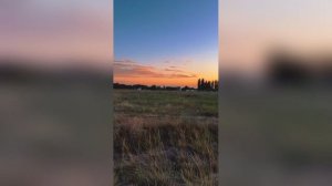 Поле Трава Закат Искры Тренд