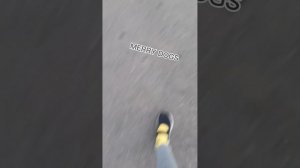 влог со сходки