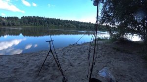 2026 06 29 Судак на живца. Иртыш. Донки.