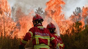 Португалия полыхает огнем: пламя добралось до жилых домов