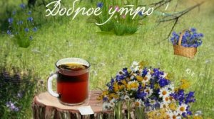 С добрым, летним утром!
