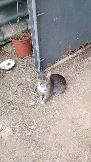 обьел смотреть онлайн