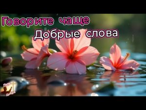 🌺ГОВОРИТЕ ЧАЩЕ ДОБРЫЕ СЛОВА🌺 НОВАЯ ПОЗИТИВНАЯ ХРИСТИАНСКАЯ ПЕСНЯ 2025 #христианскиепесни #музыка