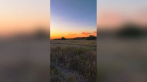 Поле Закат Сияние Тренд Дети