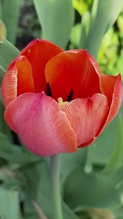 Прекрасного настроения на выходные, друзья!🌹❤️🙋 04-07-2026
