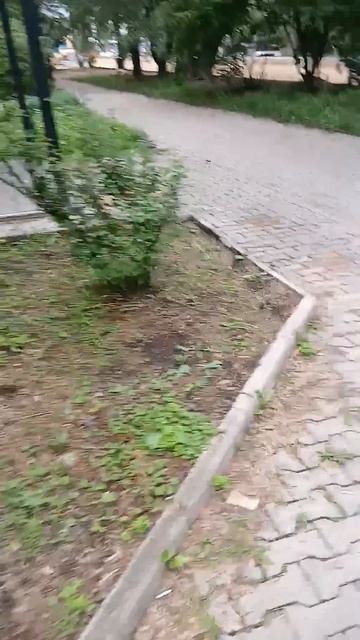 04 июля 2026 _дворник не убирает везде по Загородной 48 Благовещенска