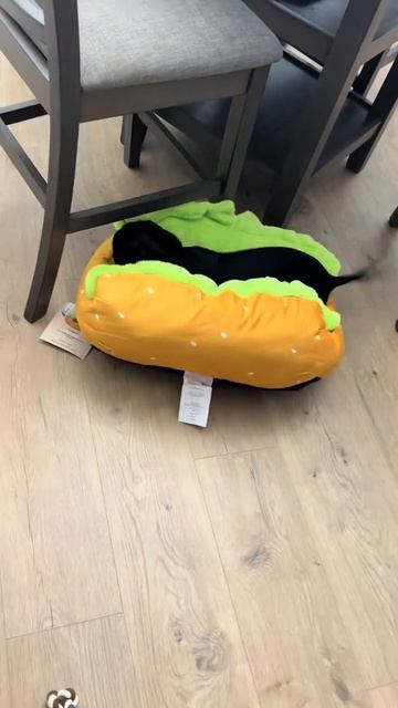 Собаки юмор