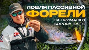 Ловля пассивной форели летом | Ротация силиконовых приманок Boroda Baits