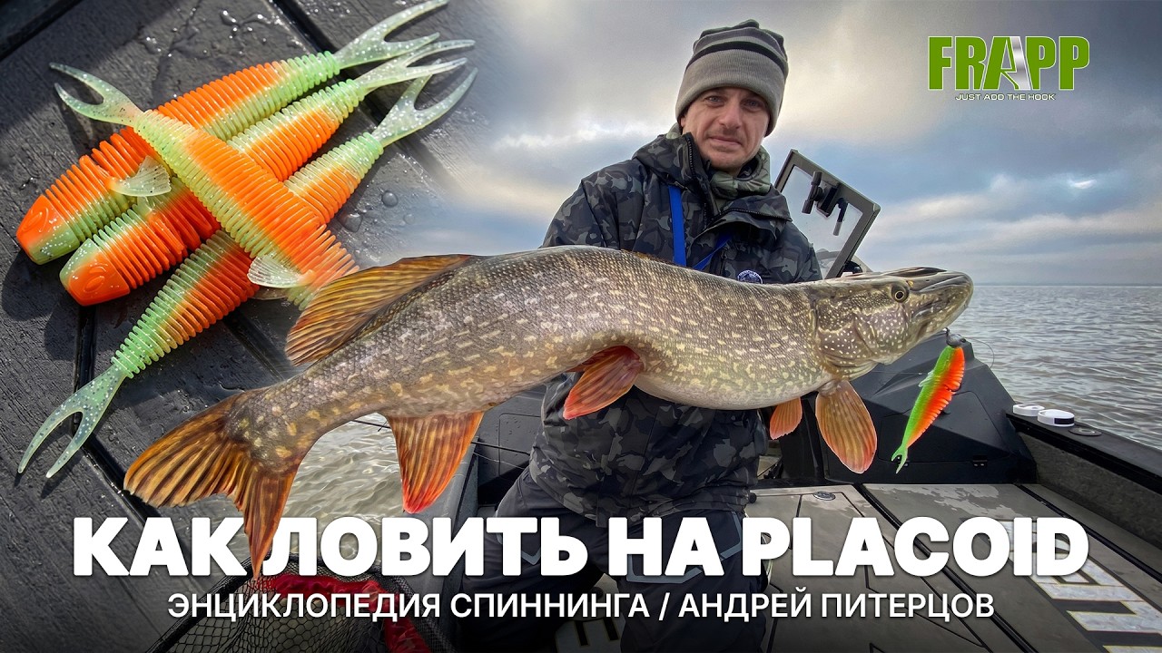 Уникальная приманка от Чемпионов Мира - Frapp Placoid | Энциклопедия спиннинга