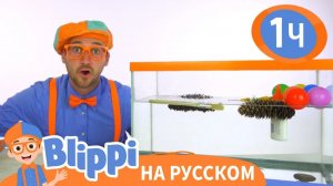 Утонет или всплывёт_ _ Изучай этот мир вместе с Блиппи _ Blippi Russian