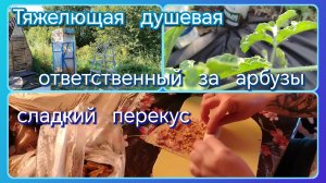 Душевая//сладкий перекус// арбузики