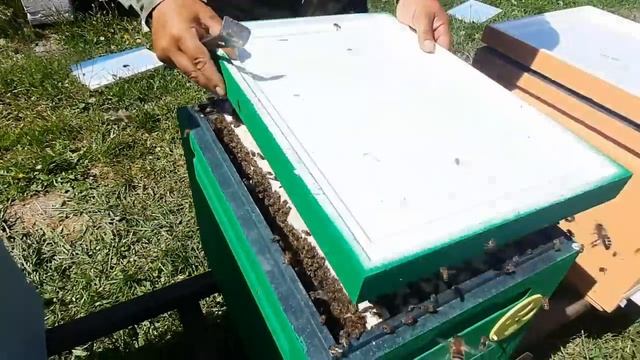 Полный Цикл Производства Гомогената!!!