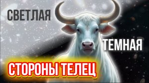 Телец: светлые и тёмные стороны знака зодиака | Как найти баланс?
