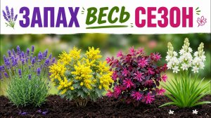 Эти 15 многолетних цветов пахнут лучше всего в твоём саду — и большинство людей даже не знают их