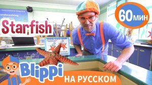 Волшебные мелодии подводного мира _ Обучающие песни для детей _ Blippi Russian