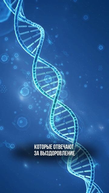 Вы сами включаете гены смотреть онлайн