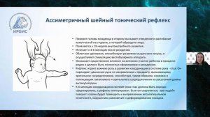 04.07.2026 Этапы развития от рождения к году (Рат Д.А.)