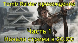 Tomb Raider Милая девушка выживает в дикой природе, приключения,выживалка.