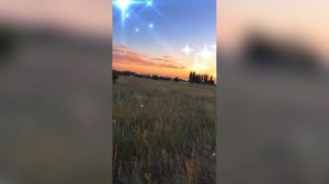 Закатное Поле Сверкай Тренд