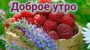 Субботнее утро июля пусть будет добрым. Красивая музыкальная открытка.