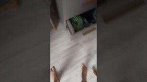 верети в реальной жизни 1 серия