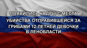 Появились кадры с места убийства отправившейся за грибами 12-летней девочки в Ленобласти